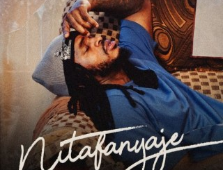 Diamond Platnumz Nitafanyaje Mp3 Download