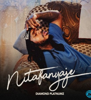 Diamond Platnumz Nitafanyaje Mp3