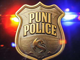 Shenseea Puni Police Mp3 Download